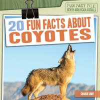 20_Fun_Facts_About_Coyotes