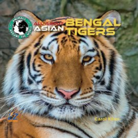 All_About_Asian_Bengal_Tigers