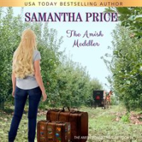 The_Amish_Meddler