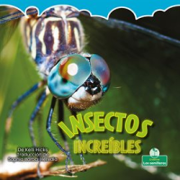 Insectos_incre__bles