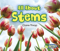 All_About_Stems