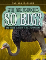 Why_Are_Ostriches_So_Big_