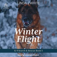 Winter_Flight