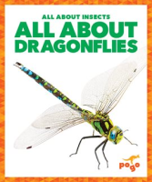 All_About_Dragonflies