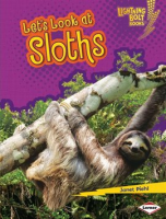 Let_s_Look_at_Sloths