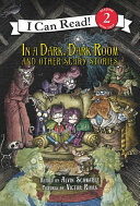 In_a_dark__dark_room_and_other_scary_stories