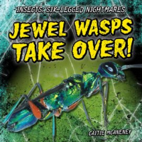 Jewel_Wasps_Take_Over_