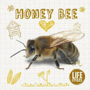 Life_cycle_of_a_honey_bee