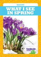 What_I_See_in_Spring