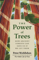 The_power_of_trees