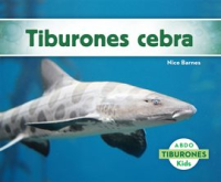 Tiburones_Cebra__Zebra_Sharks_