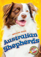 Australian_Shepherds