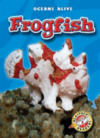 Frogfish