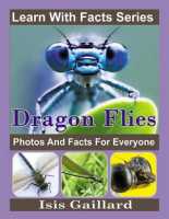 Dragonfly_Photos_and_Facts_for_Everyone