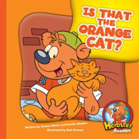 Is_That_the_Orange_Cat_