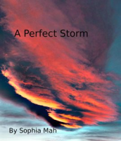 A_Perfect_Storm