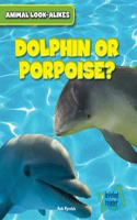 Dolphin_or_Porpoise_