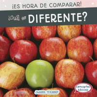 __Cu__l_es_diferente___Which_Is_Different__