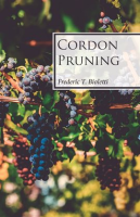 Cordon_Pruning