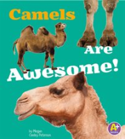 Camels_Are_Awesome_