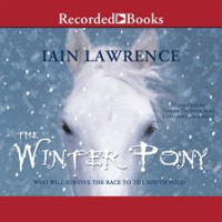 The_Winter_Pony