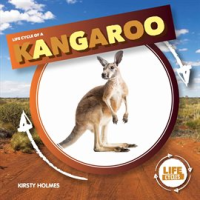 Life_Cycle_of_a_Kangaroo