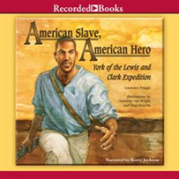 American_Slave__American_Hero