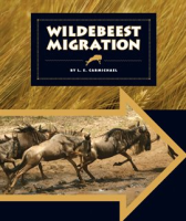 Wildebeest_Migration