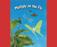 Multiply_on_the_Fly