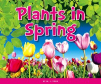 Plants_in_Spring
