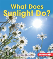 What_Does_Sunlight_Do_