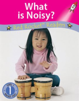 What_is_Noisy_