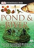 Pond___river