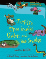 Tortoise__Tree_Snake__Gator__and_Sea_Snake