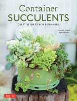 Container_Succulents