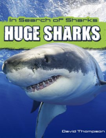 Huge_Sharks