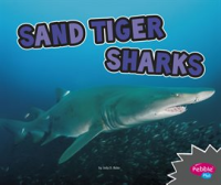 Sand_Tiger_Sharks