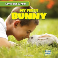 My_First_Bunny