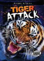 Tiger_Attack