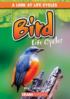 Bird_Life_Cycles
