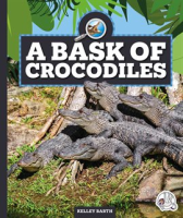 A_Bask_of_Crocodiles