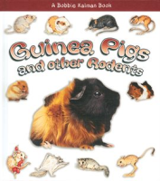 Guinea_Pigs_and_other_Rodents