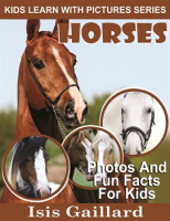 Horses_Photos_and_Fun_Facts_for_Kids