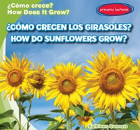 __C__mo_crecen_los_girasoles___How_Do_Sunflowers_Grow__