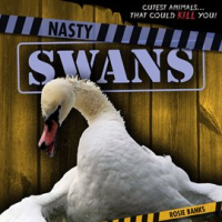Nasty_Swans