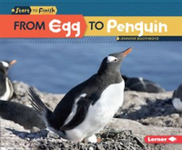 From_Egg_to_Penguin