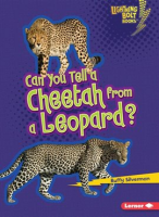 Can_You_Tell_a_Cheetah_from_a_Leopard_