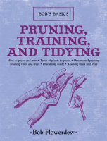 Pruning__Training__and_Tidying