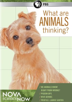 What_Are_Animals_Thinking_