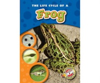 The_Life_Cycle_of_a_Frog